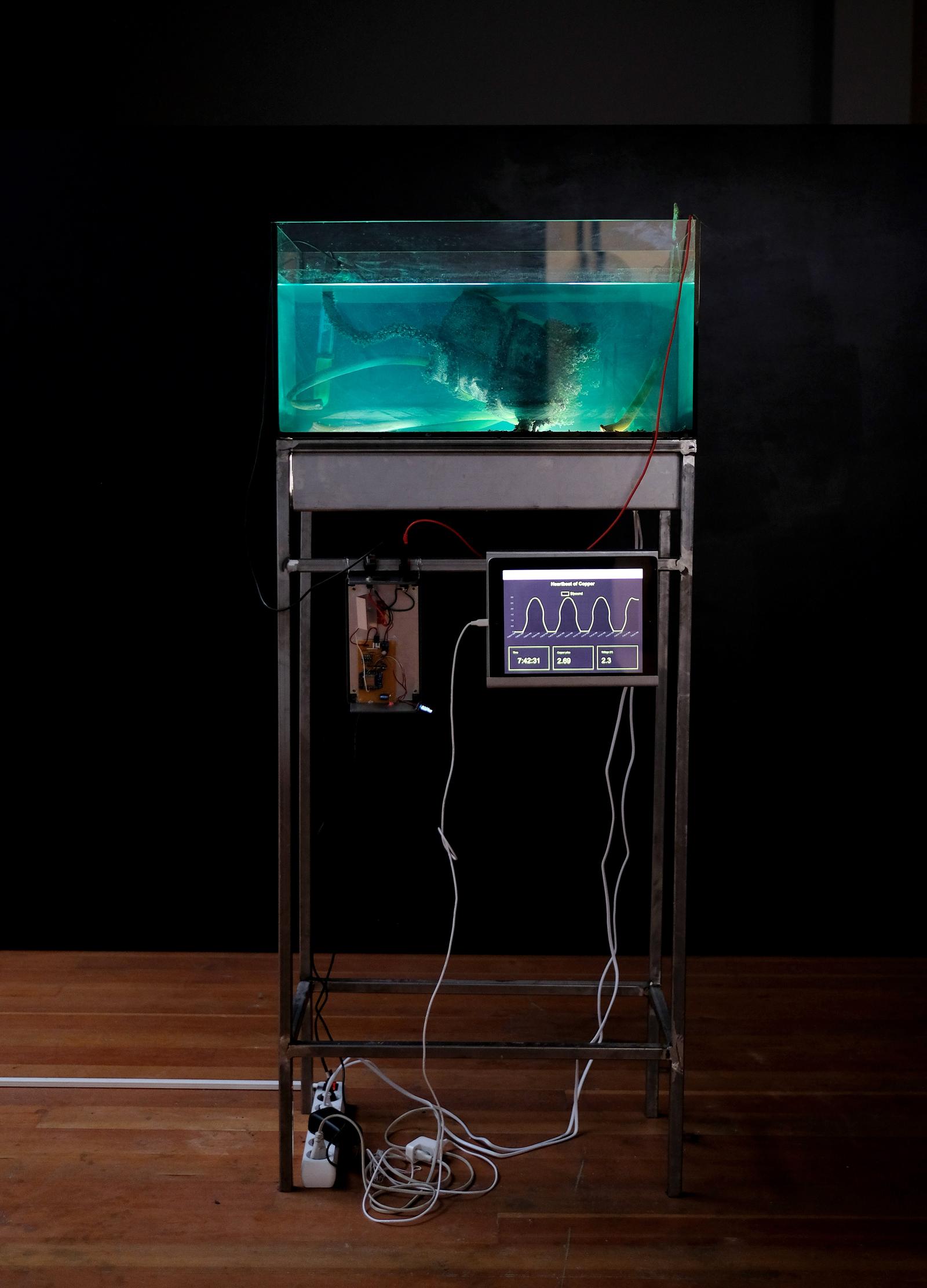 Rusty Odyssey installation