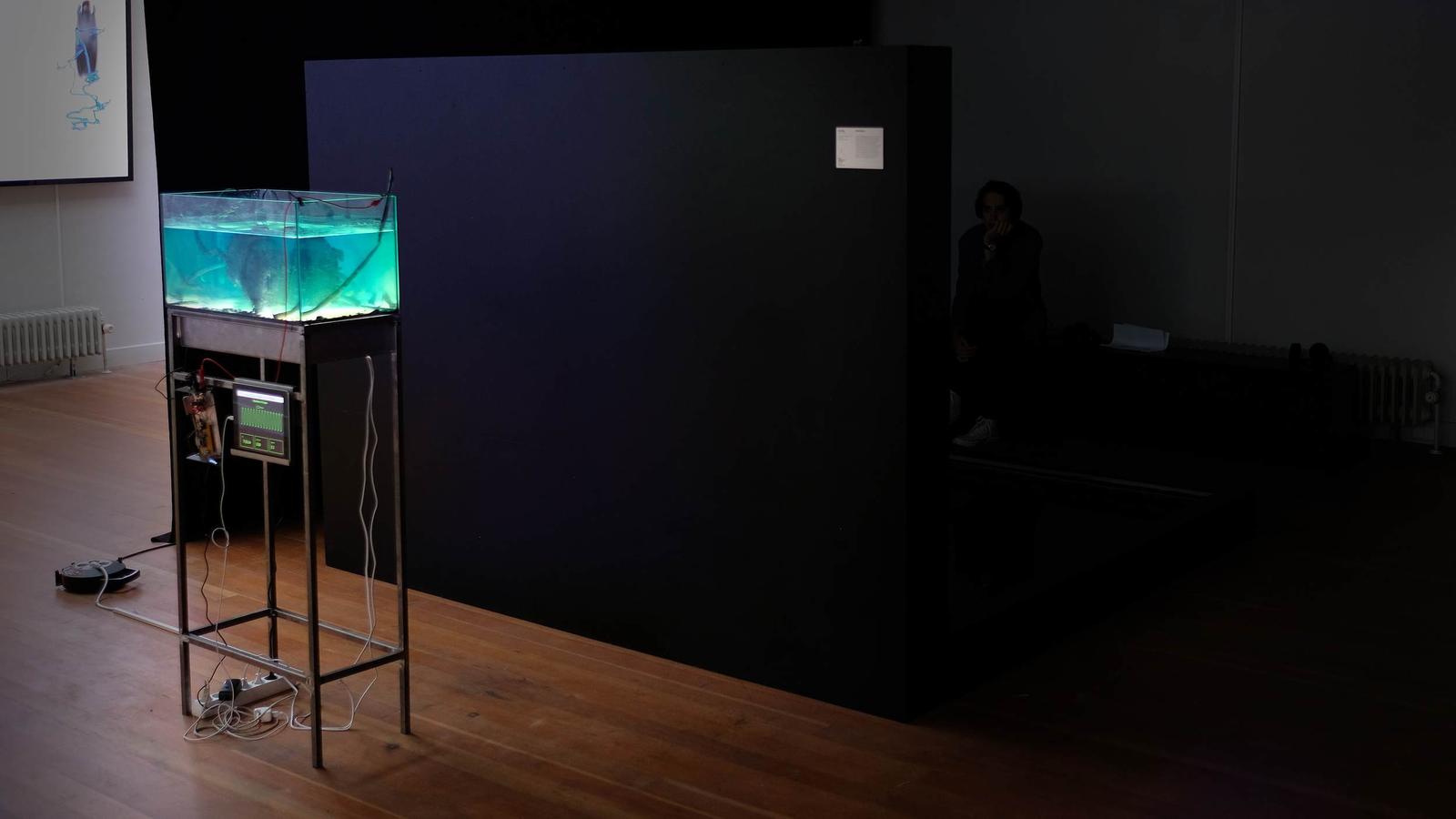Rusty Odyssey installation