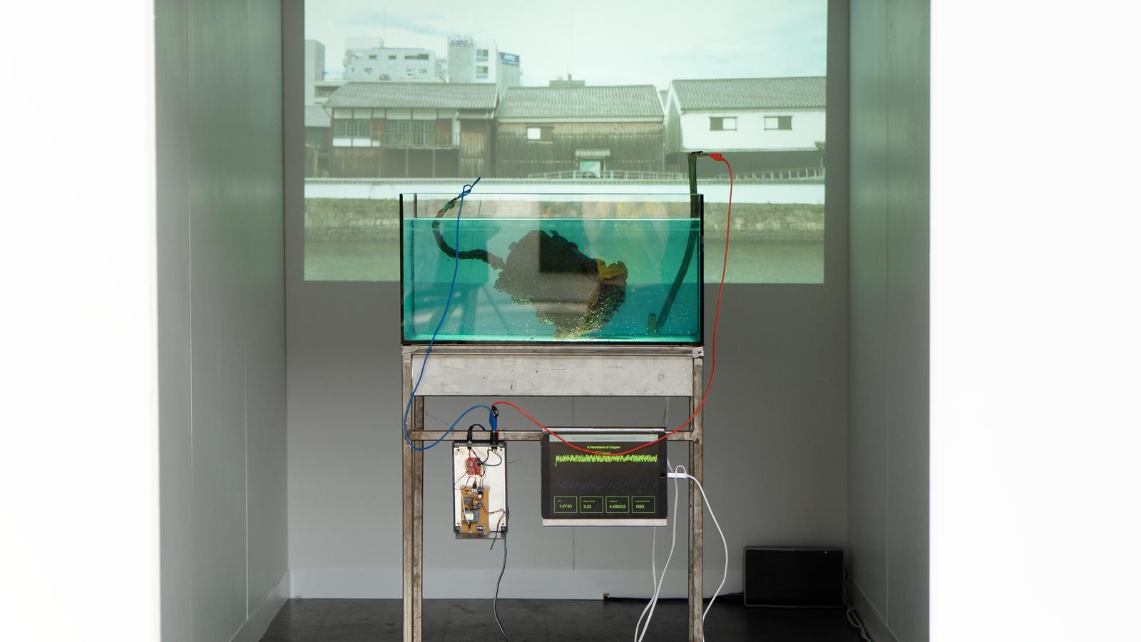 Rusty Odyssey installation