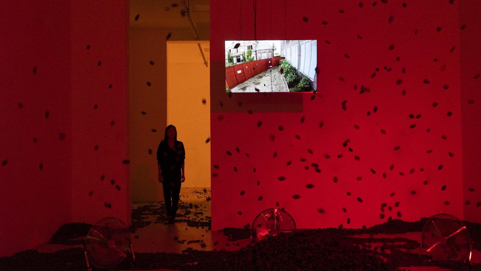 D-Scape 1.0 spatial-media installation