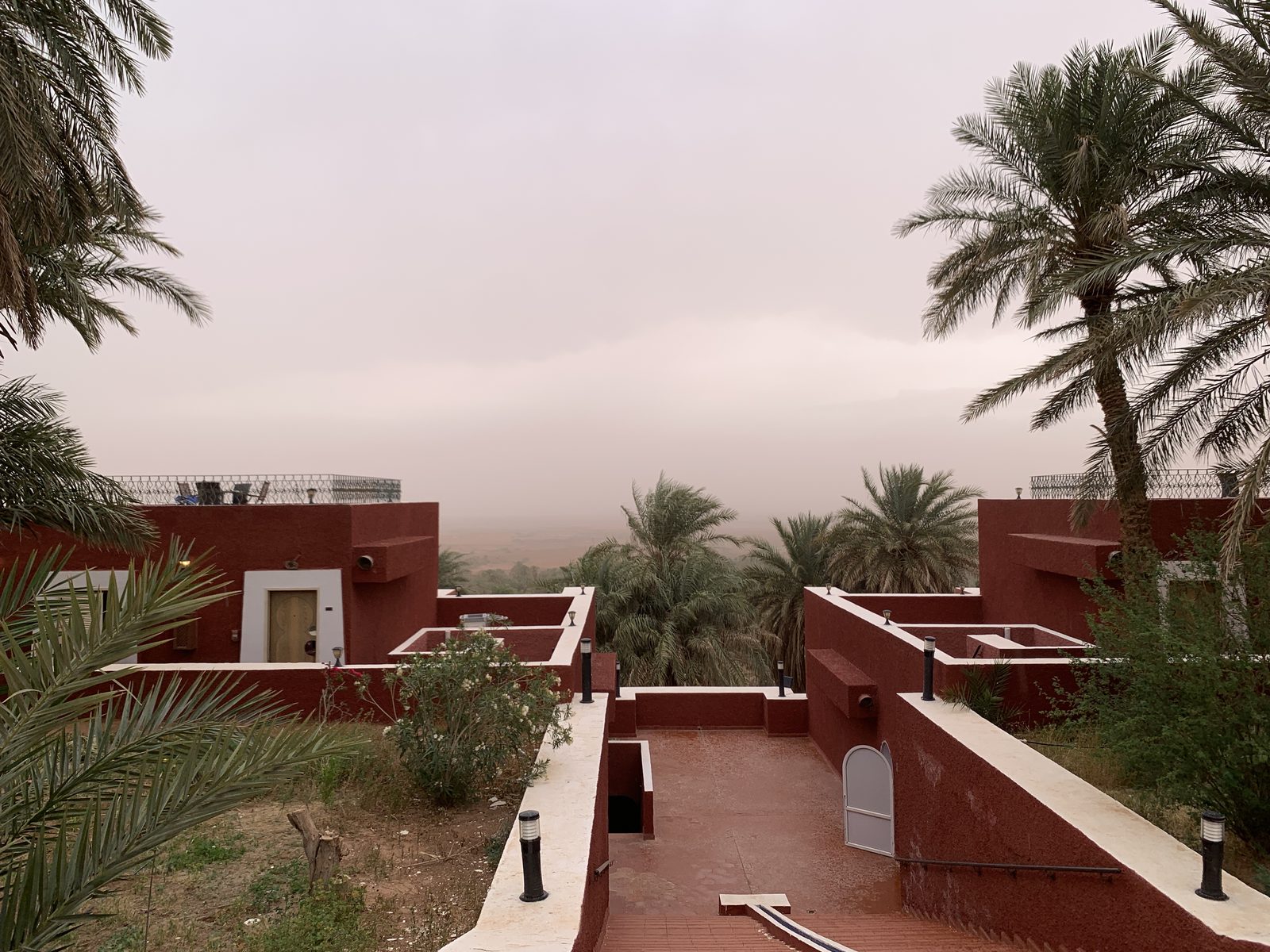 Field-research: Algerian Sahara 06