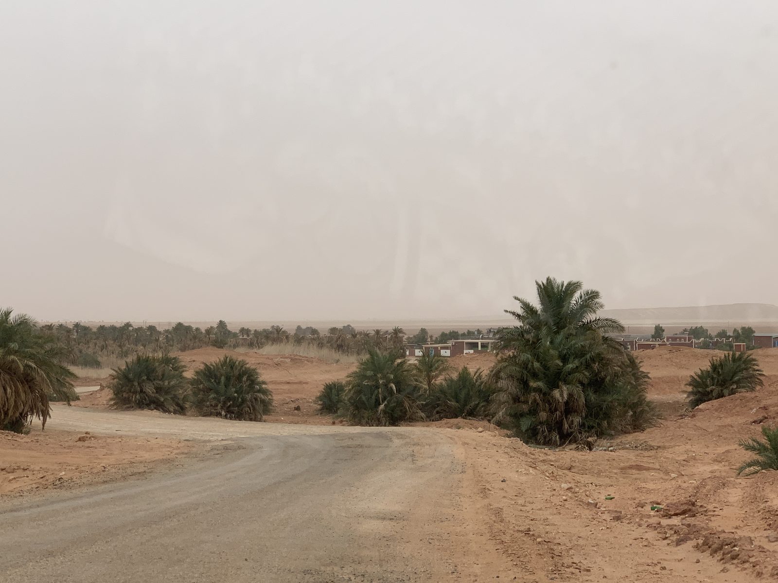 Field-research: Algerian Sahara 08