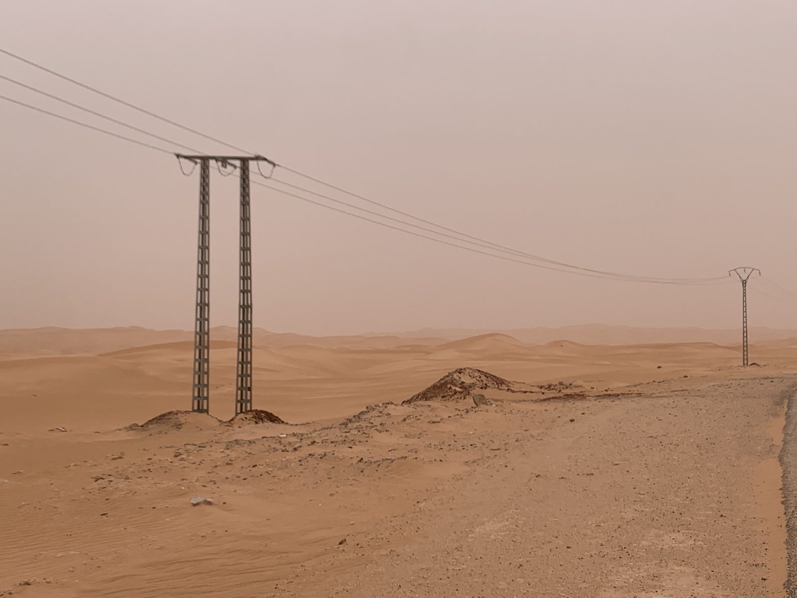 Field-research: Algerian Sahara 09