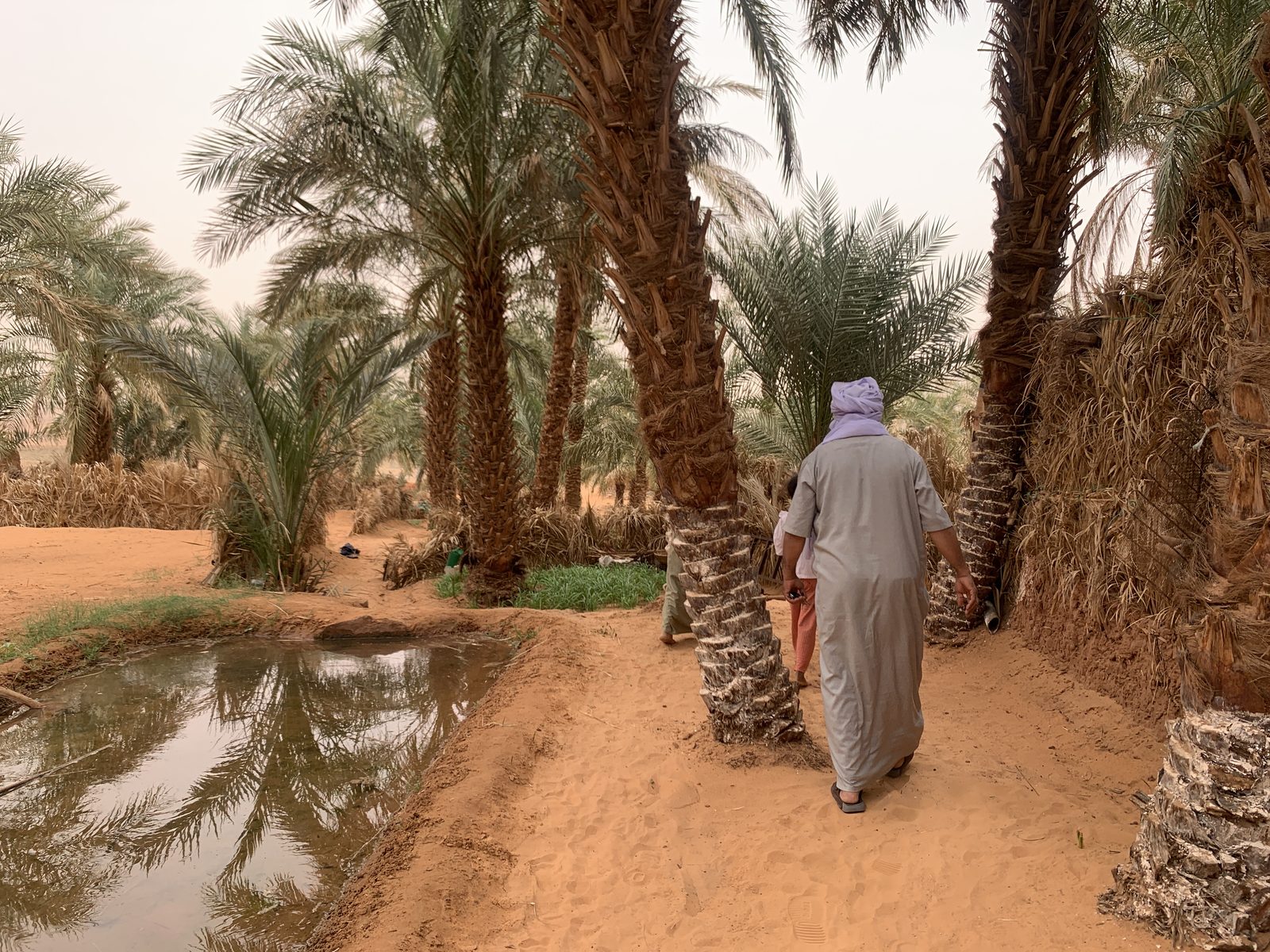 Field-research: Algerian Sahara 10