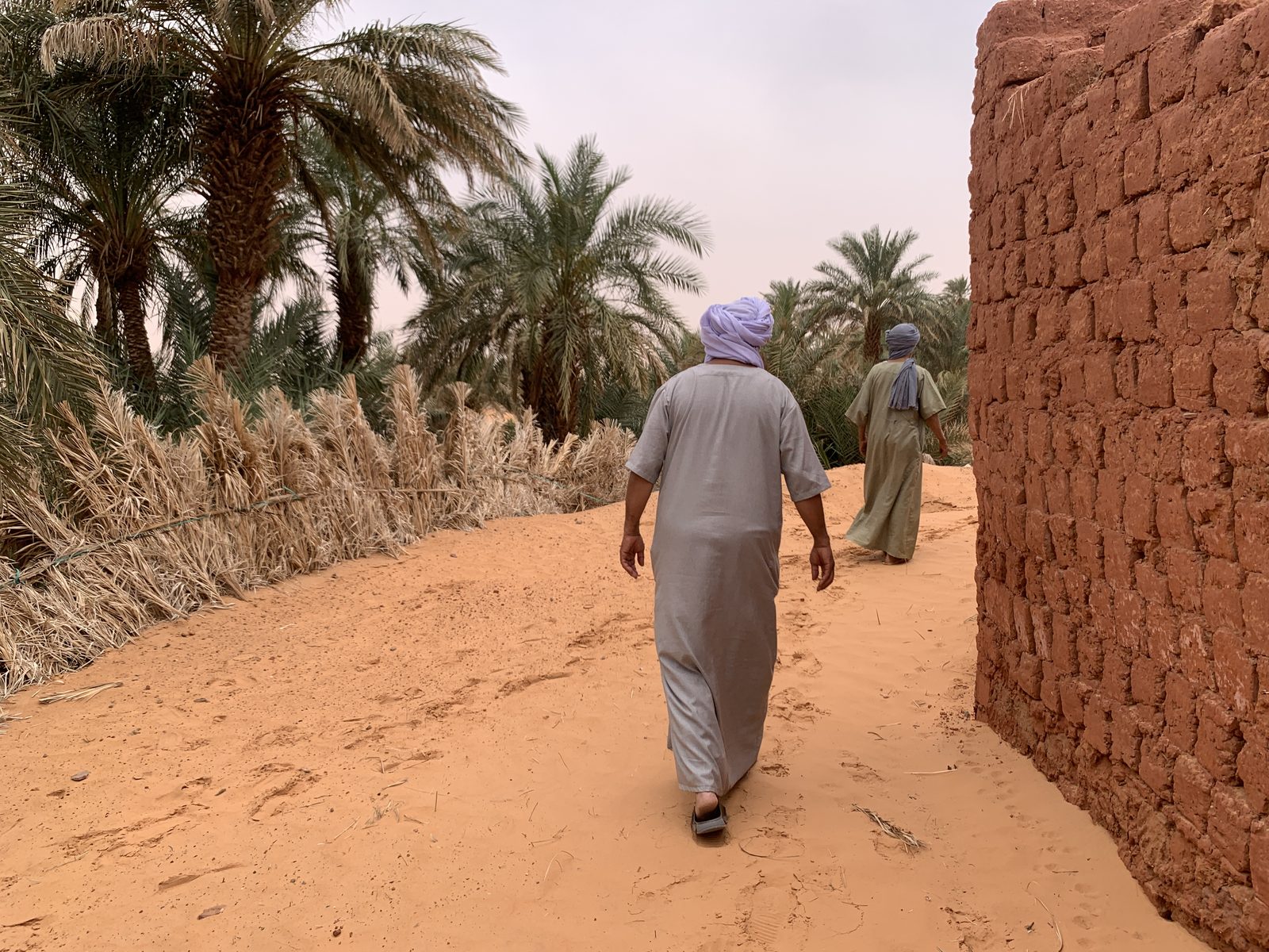 Field-research: Algerian Sahara 11