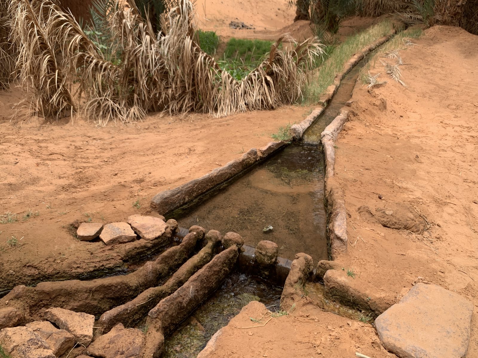 Field-research: Algerian Sahara 13