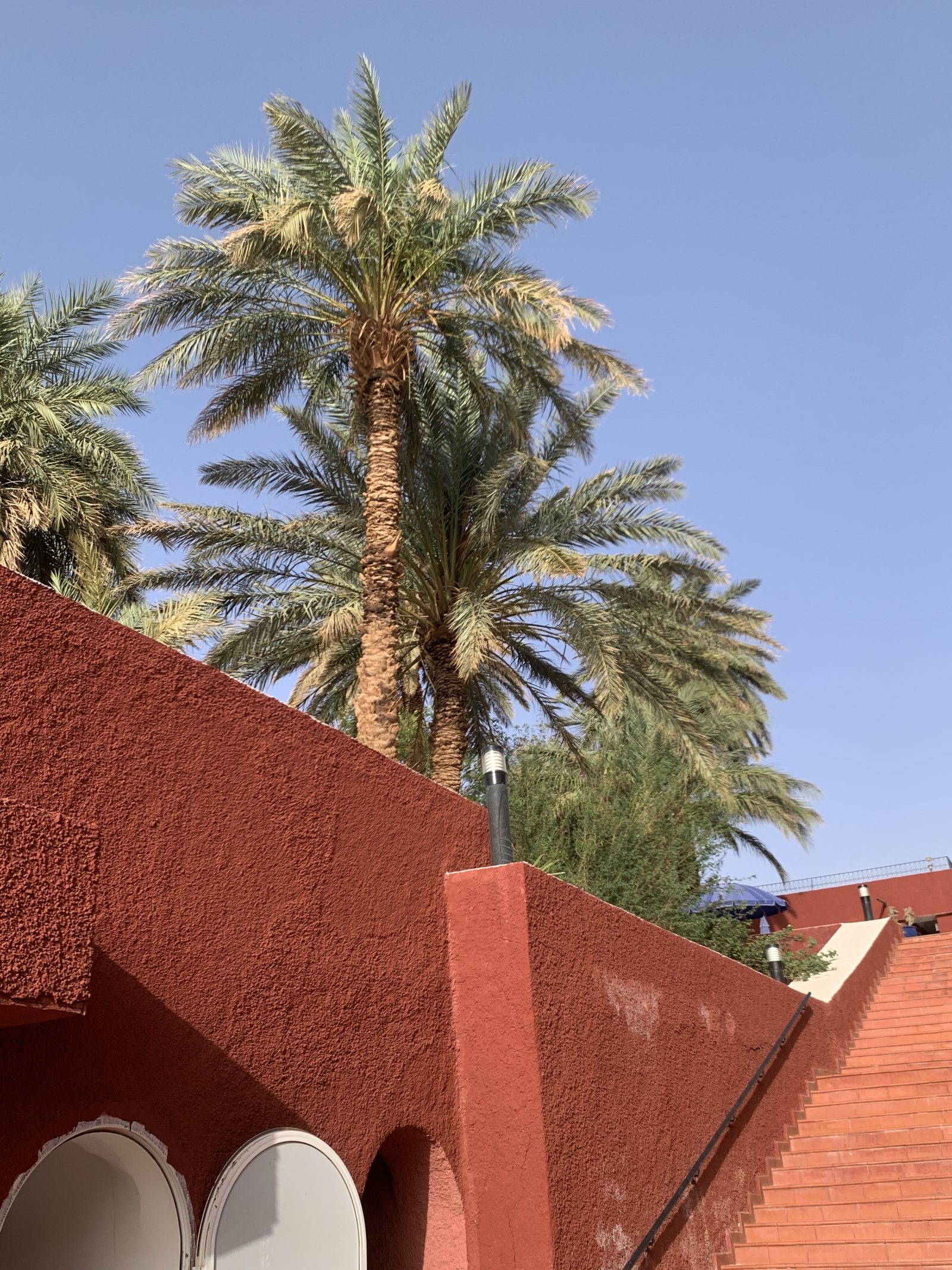 Field-research: Algerian Sahara 14