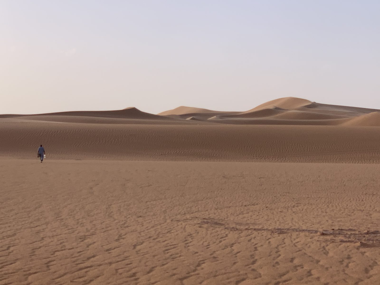 Field-research: Algerian Sahara 15