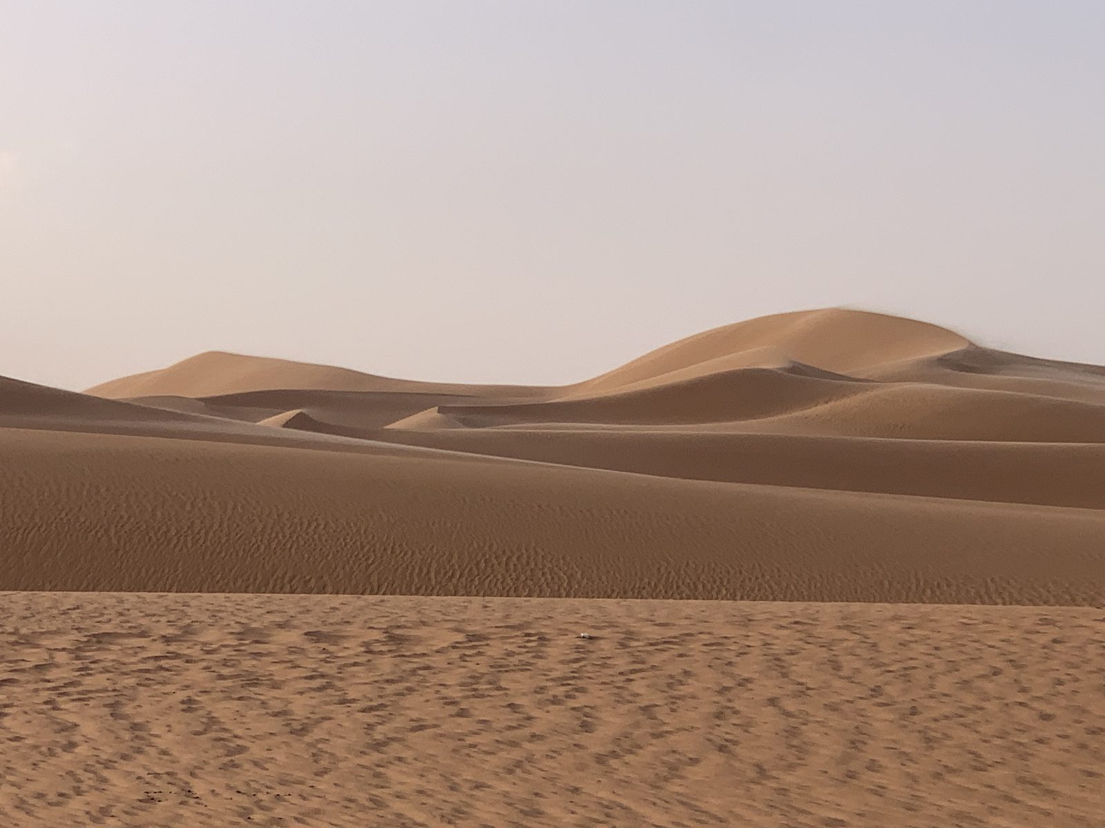 Field-research: Algerian Sahara 16