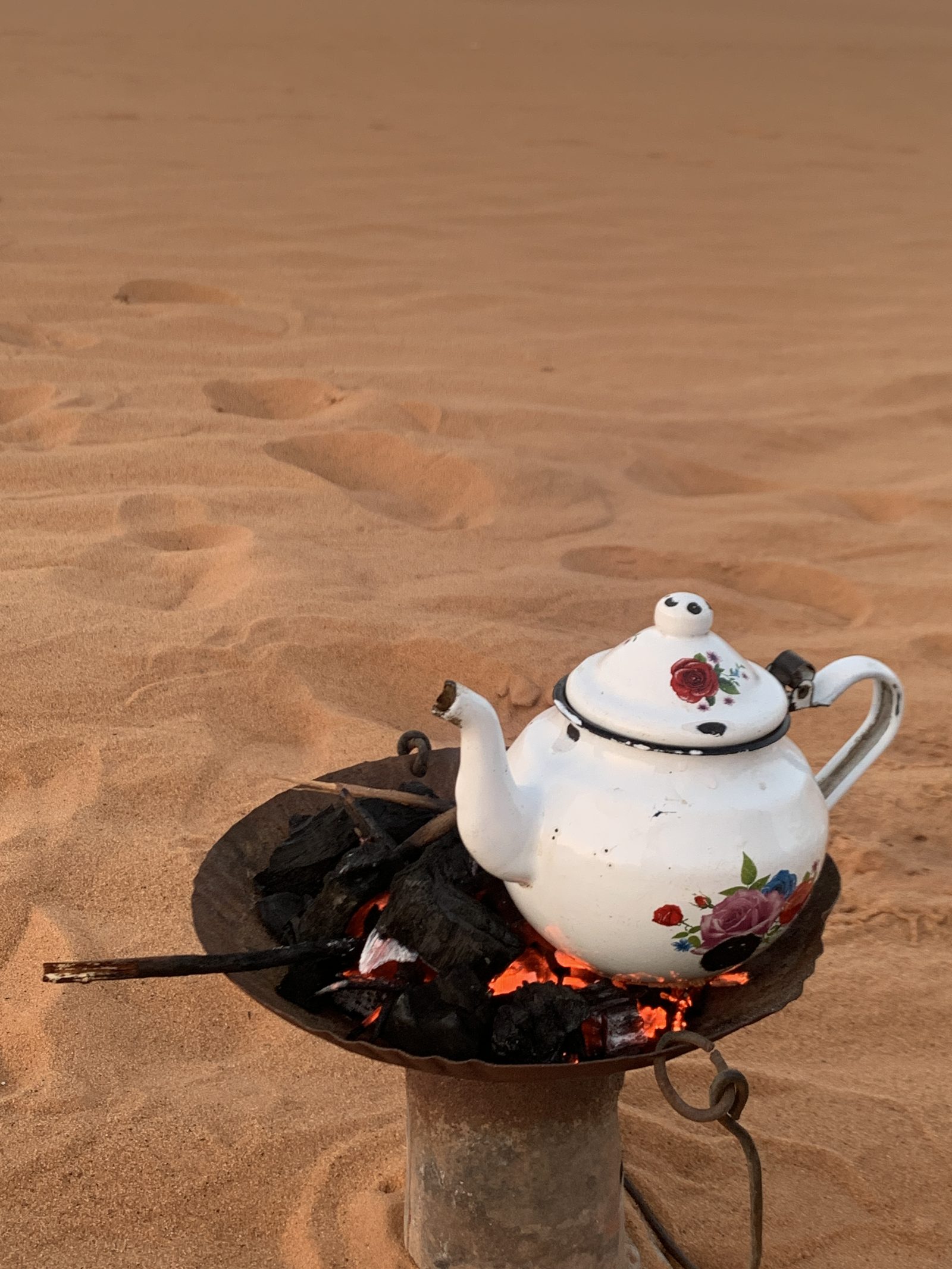 Field-research: Algerian Sahara 18