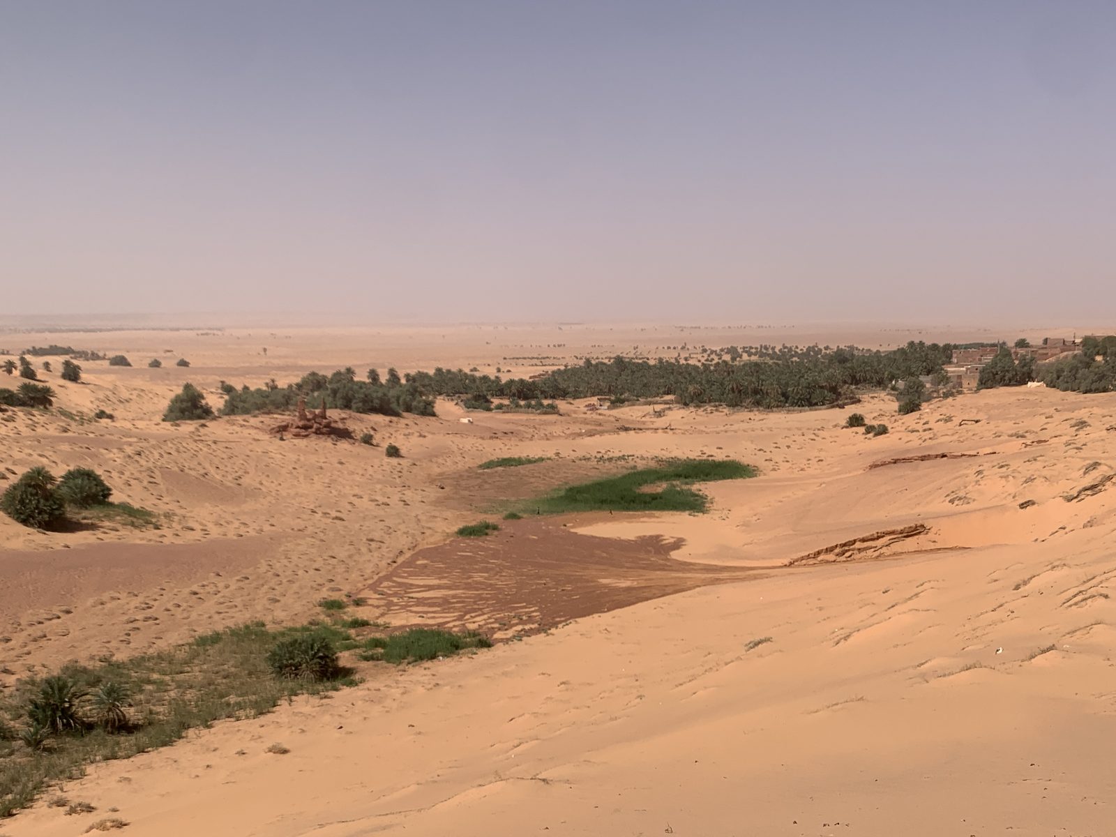 Field-research: Algerian Sahara 20
