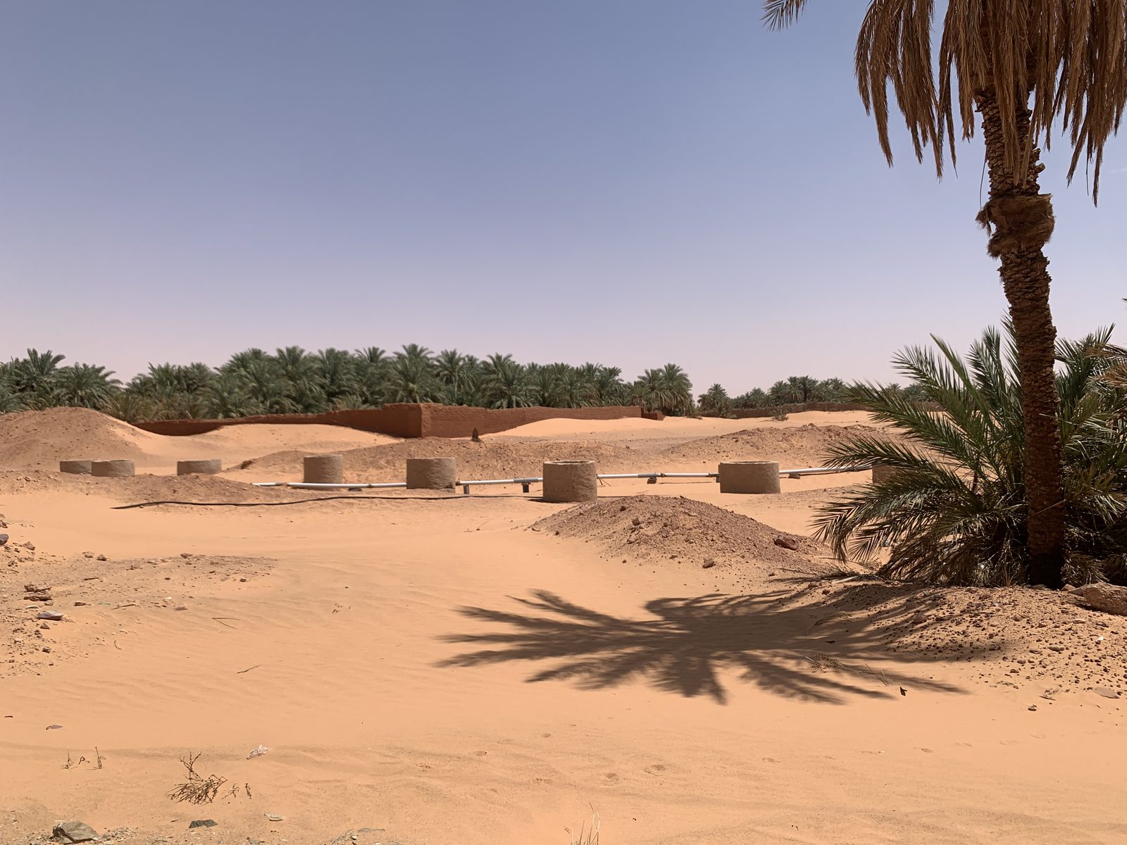 Field-research: Algerian Sahara 23