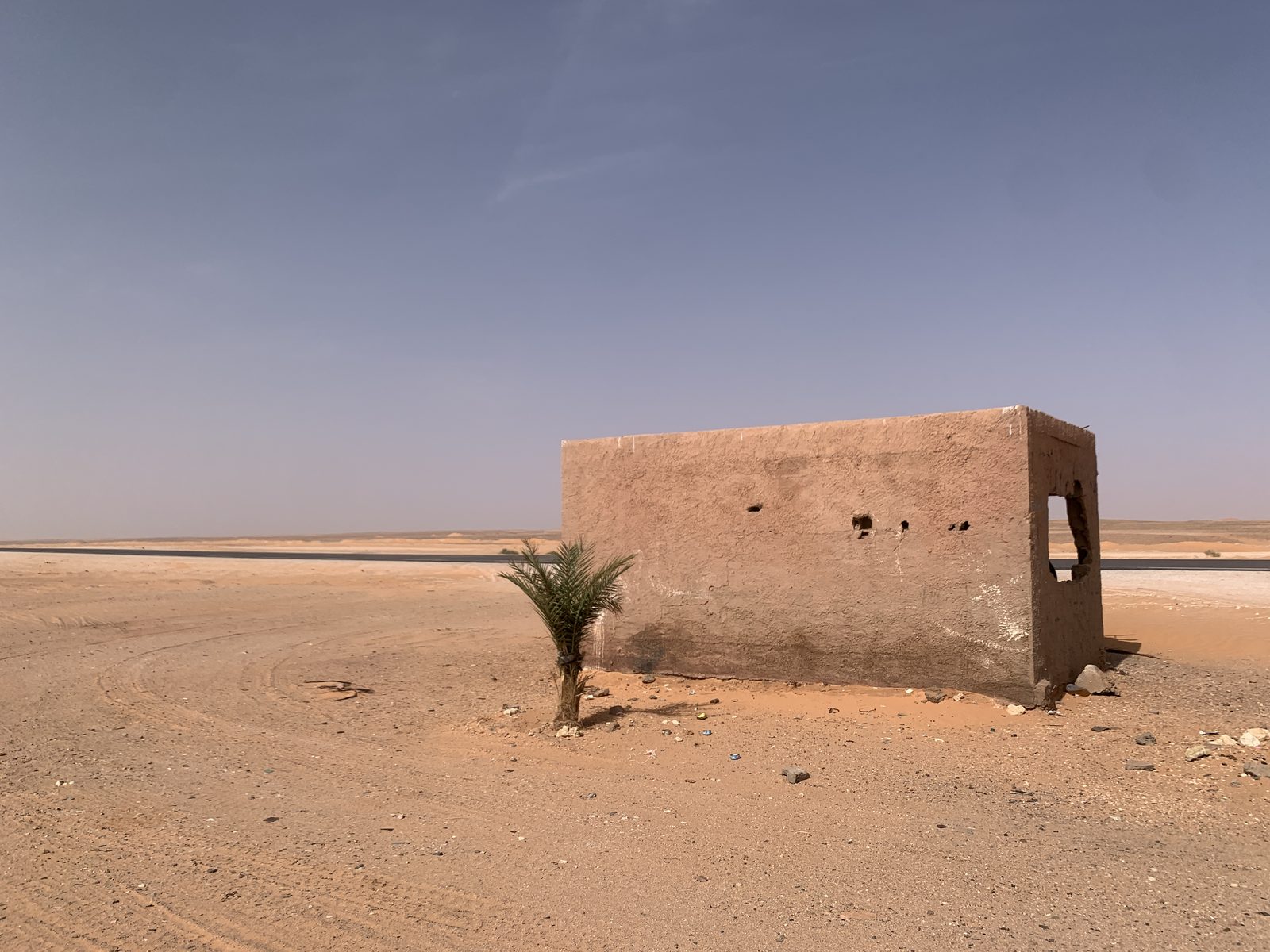 Field-research: Algerian Sahara 29