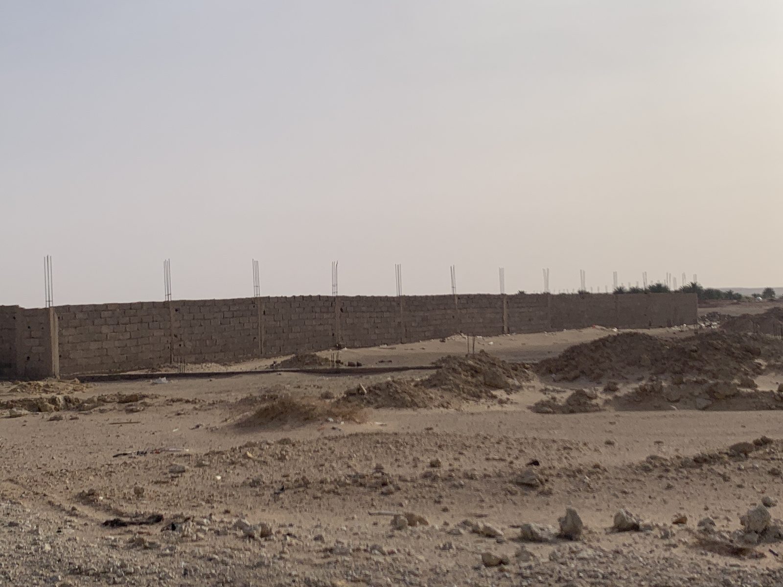 Field-research: Algerian Sahara 37