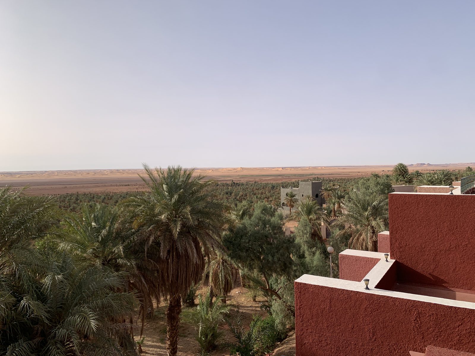Field-research: Algerian Sahara 38