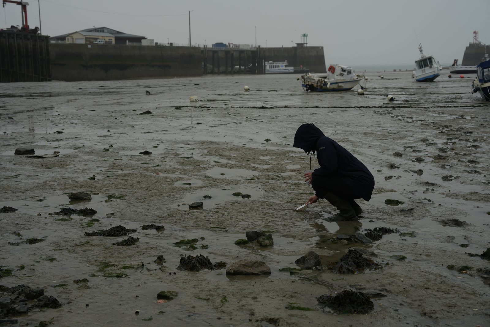 Field-research: Cotentin 05