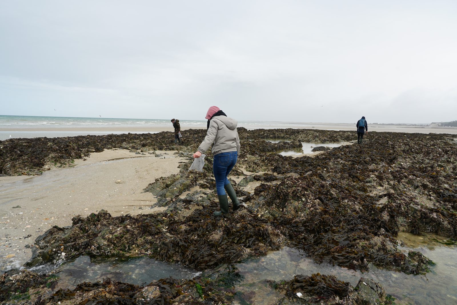 Field-research: Cotentin 08