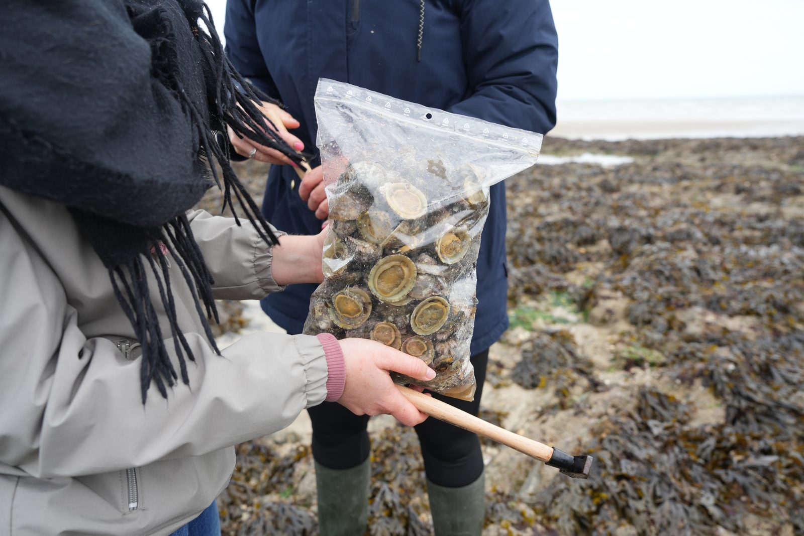 Field-research: Cotentin 09