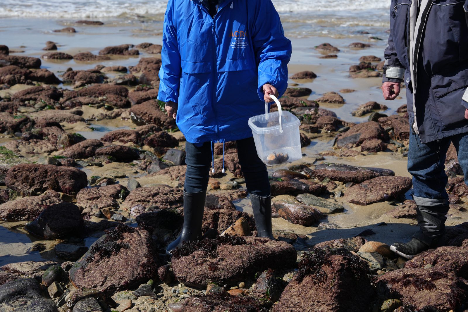 Field-research: Cotentin 11