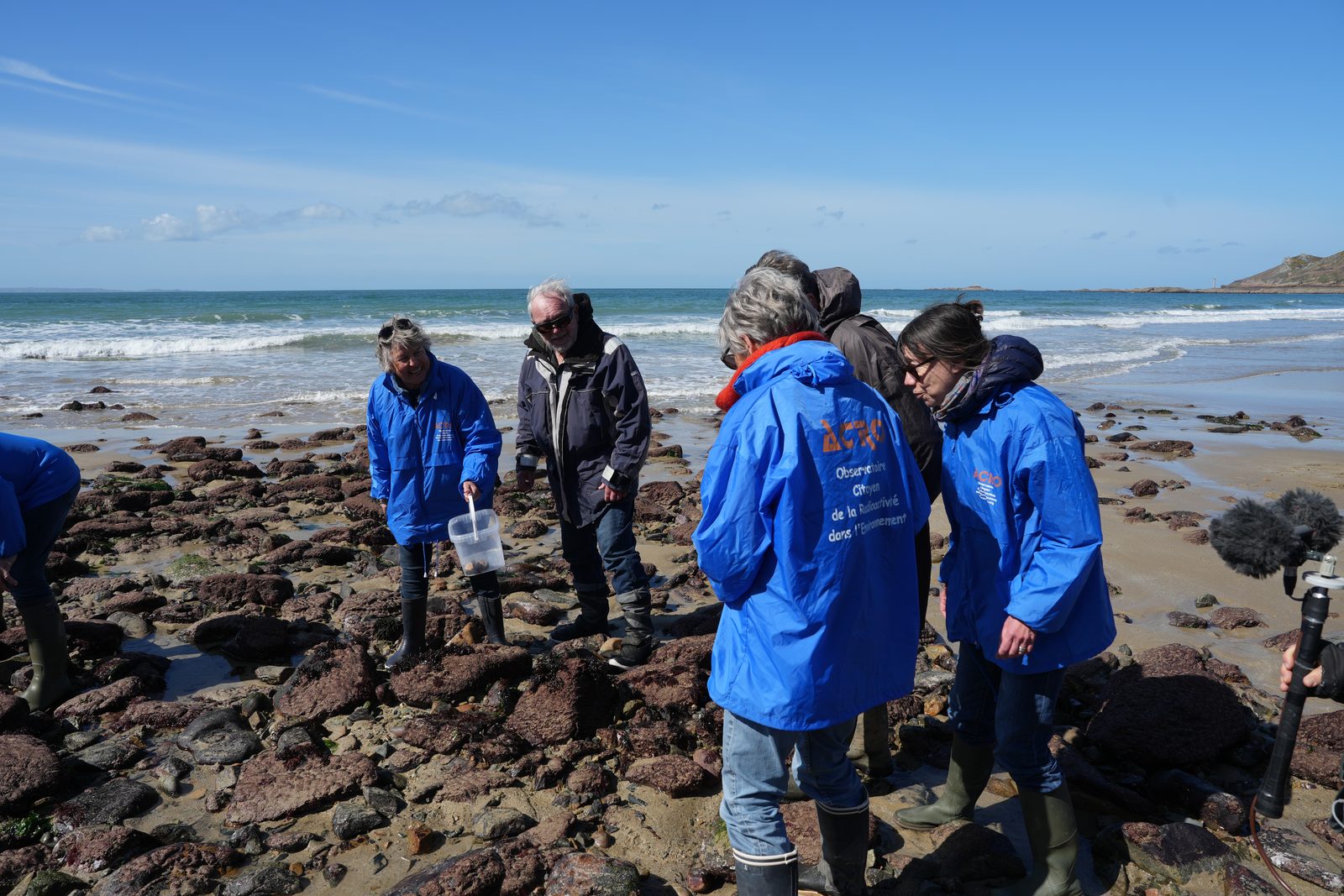 Field-research: Cotentin 12