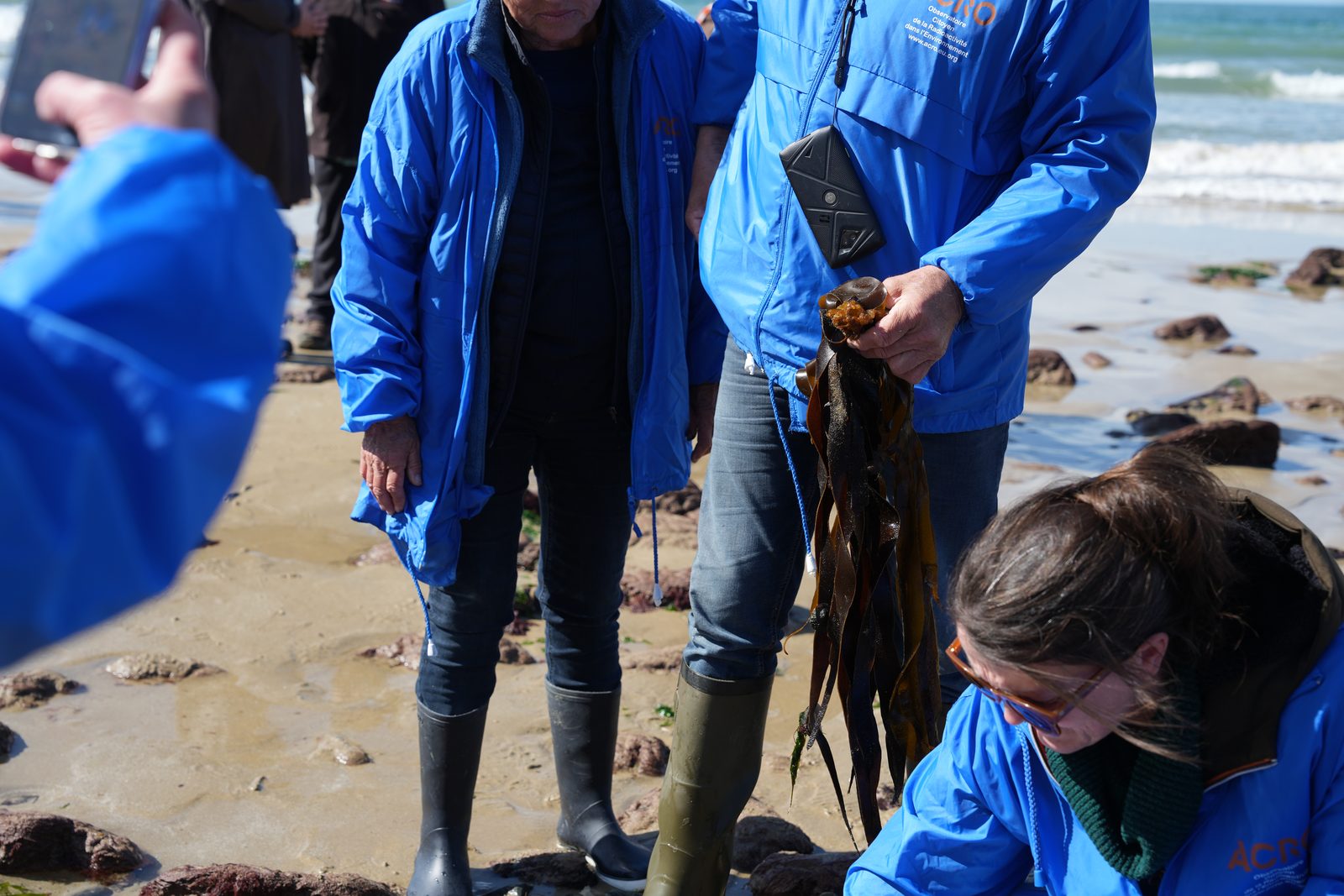 Field-research: Cotentin 13