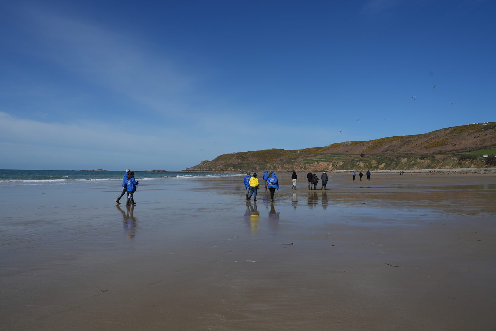 Field-research: Cotentin 14