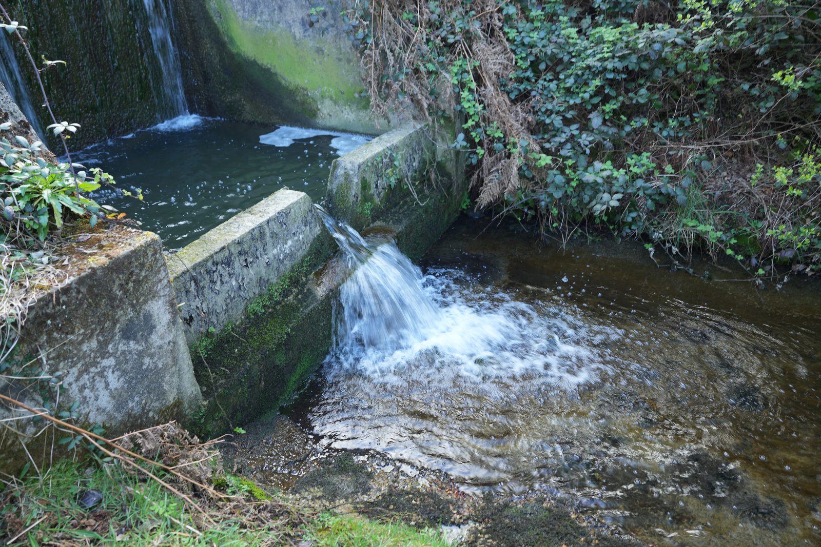 Field-research: Cotentin 18