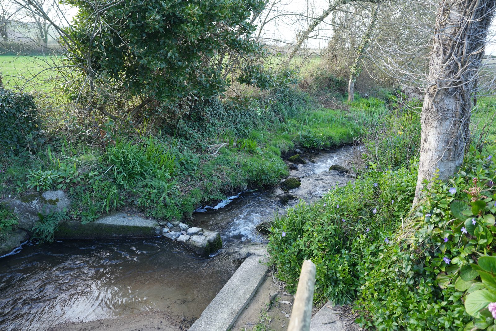 Field-research: Cotentin 19