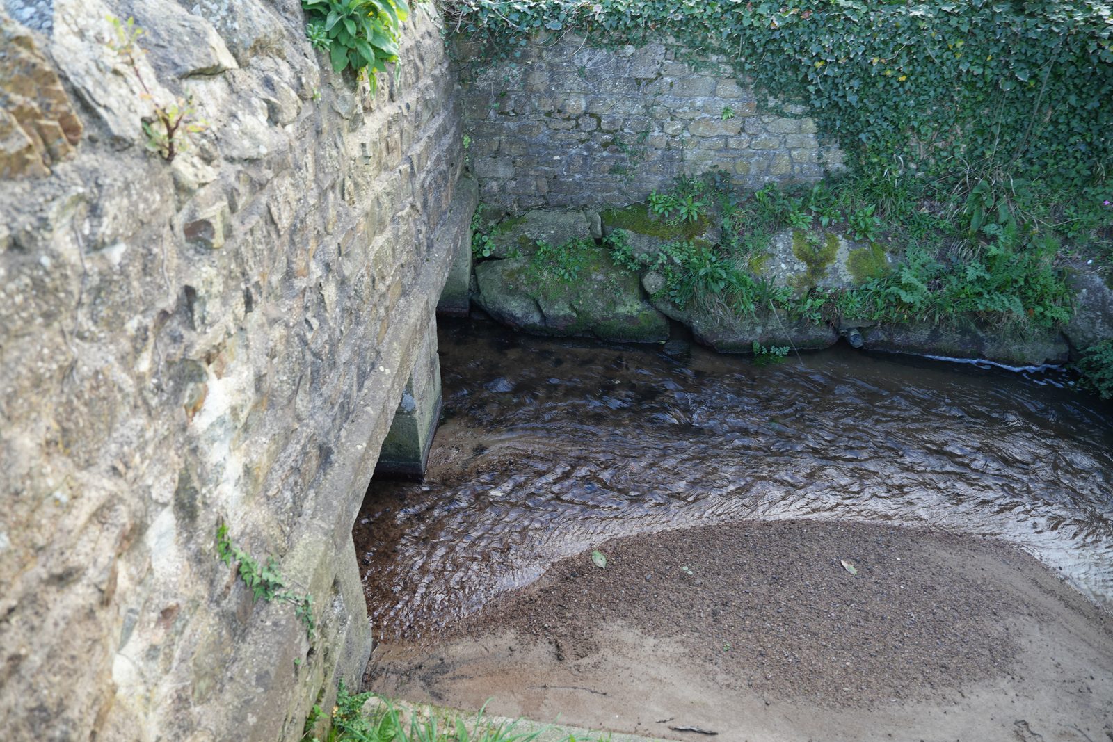 Field-research: Cotentin 20