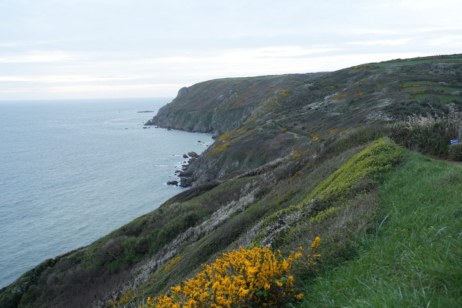 Field-research: Cotentin 21