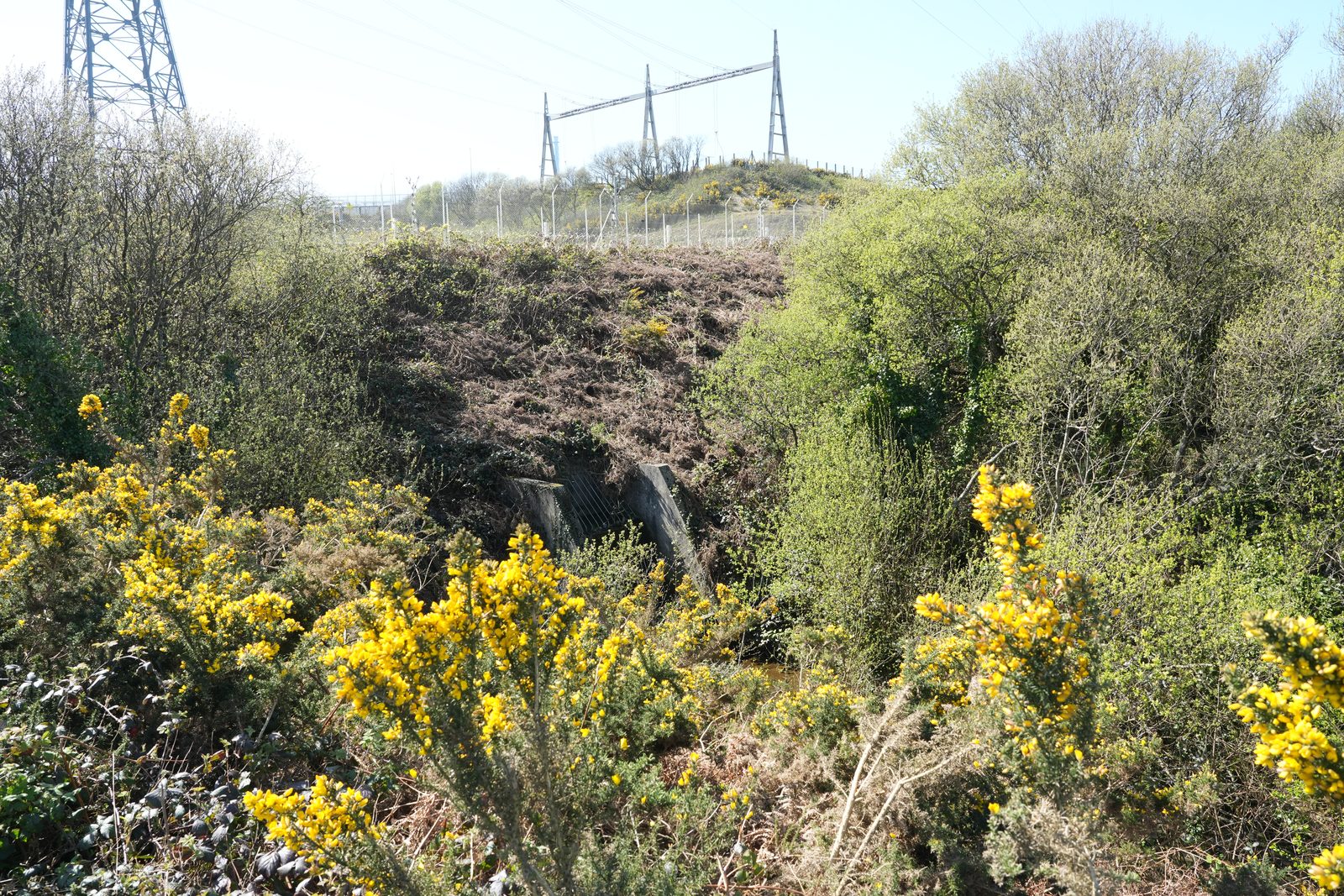 Field-research: Cotentin 27