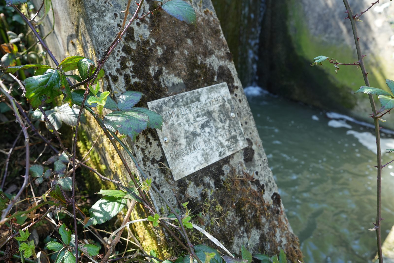 Field-research: Cotentin 28