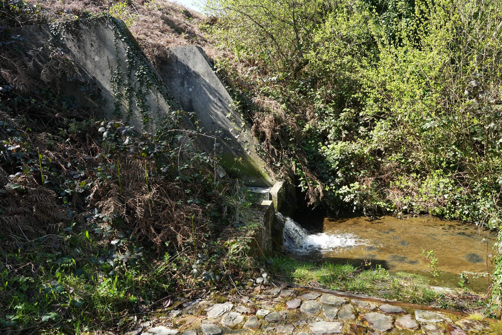 Field-research: Cotentin 29