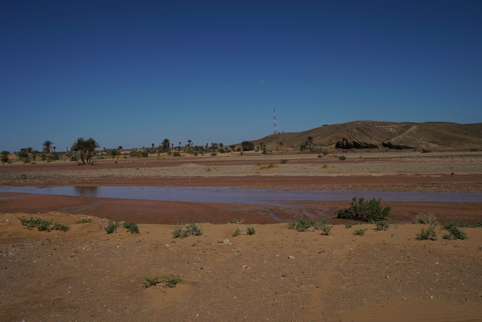 Field-research: Moroccan Sahara 02