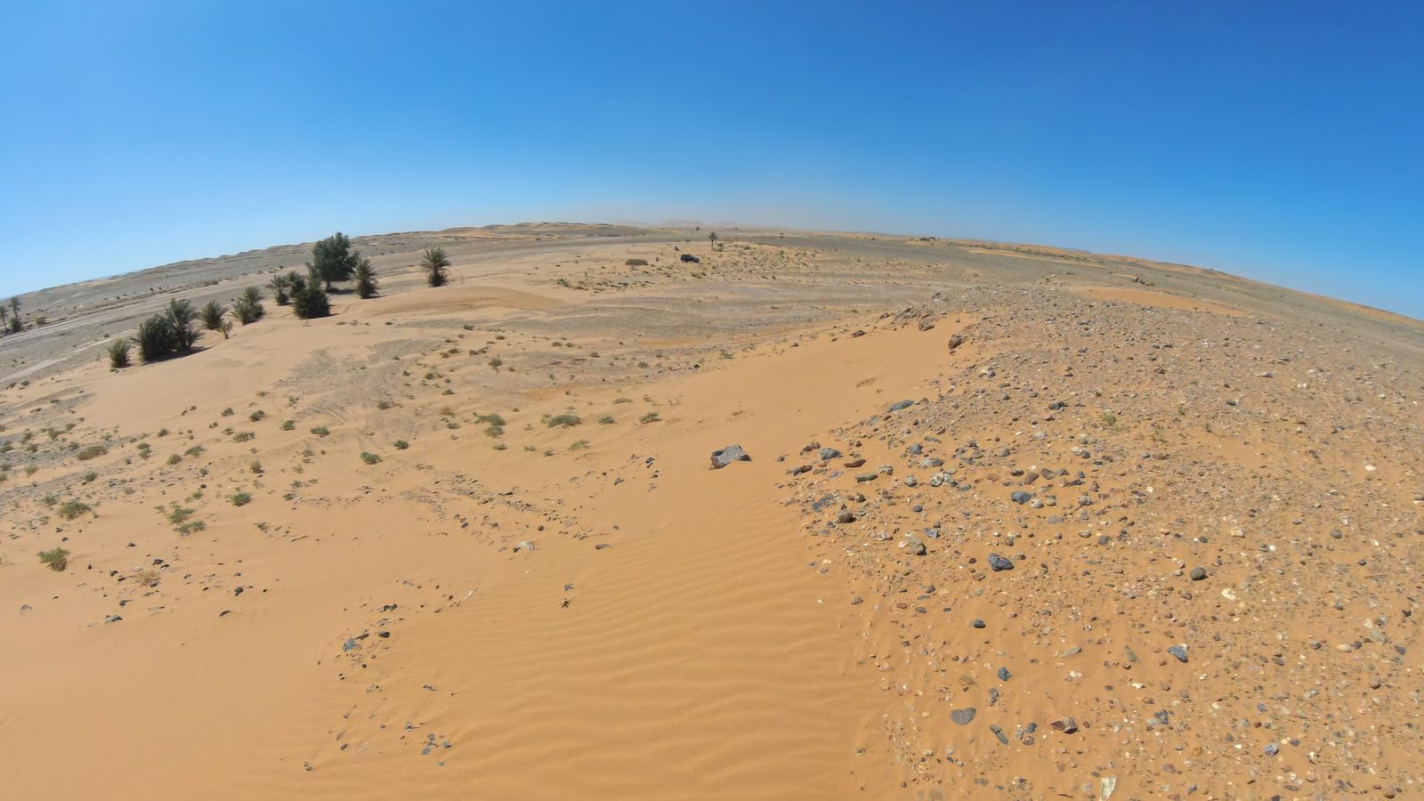 Field-research: Moroccan Sahara 04
