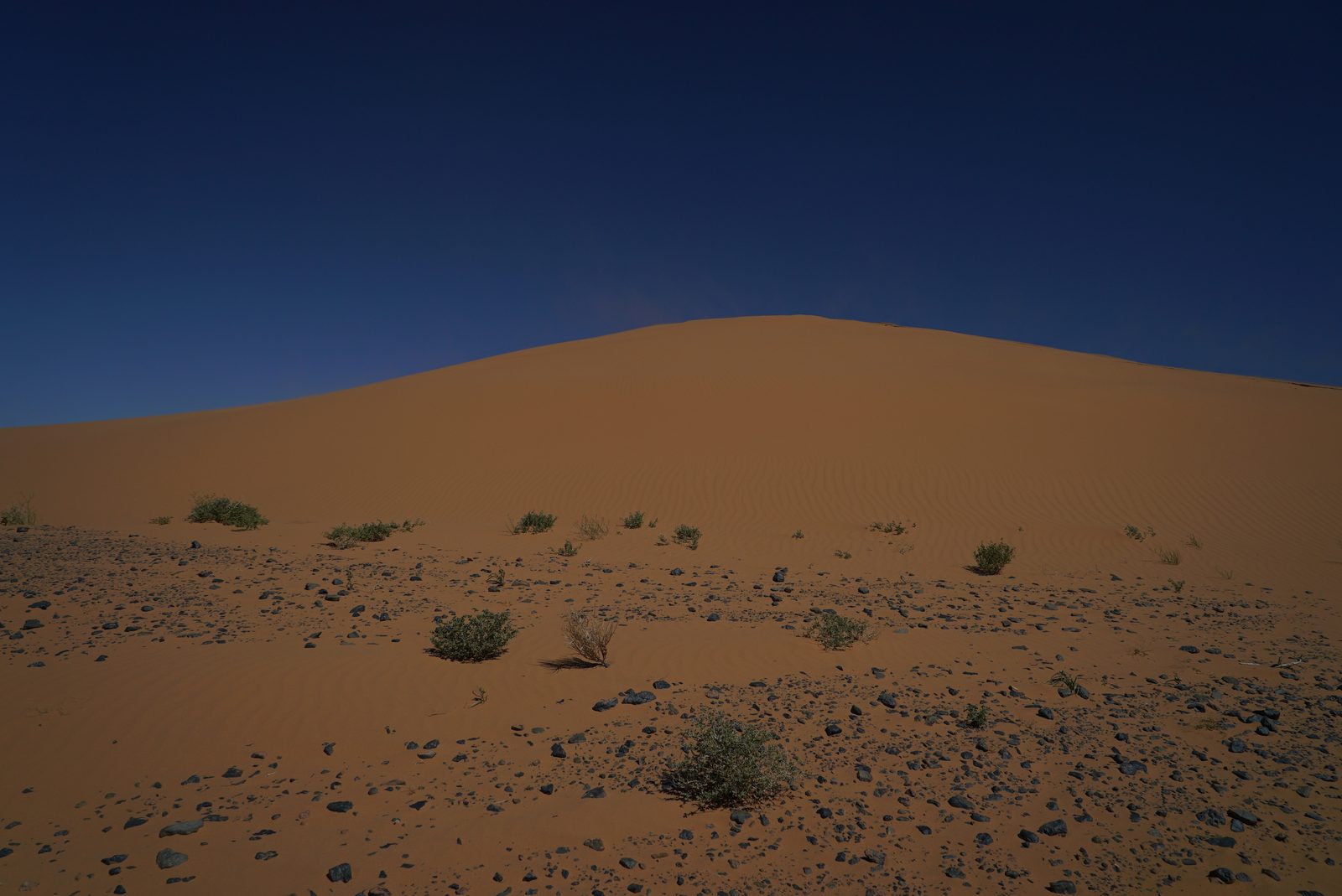 Field-research: Moroccan Sahara 05