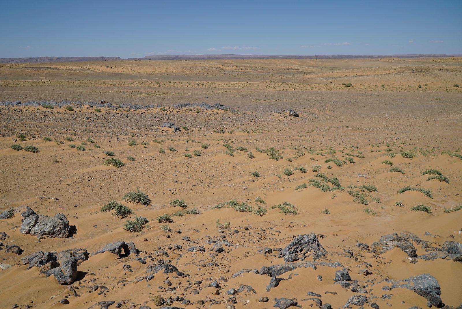 Field-research: Moroccan Sahara 10