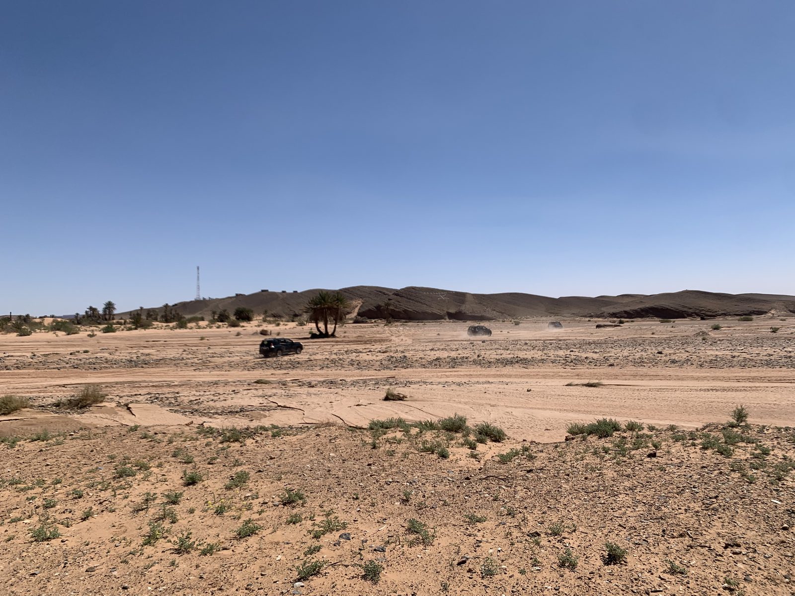 Field-research: Moroccan Sahara 11