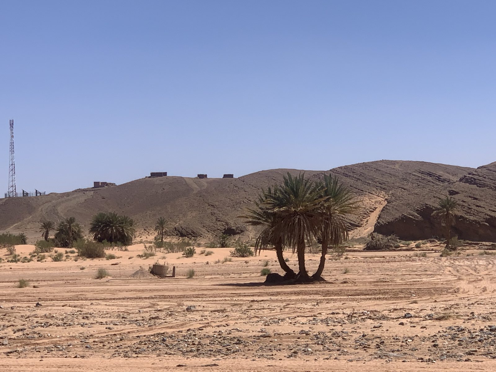 Field-research: Moroccan Sahara 12