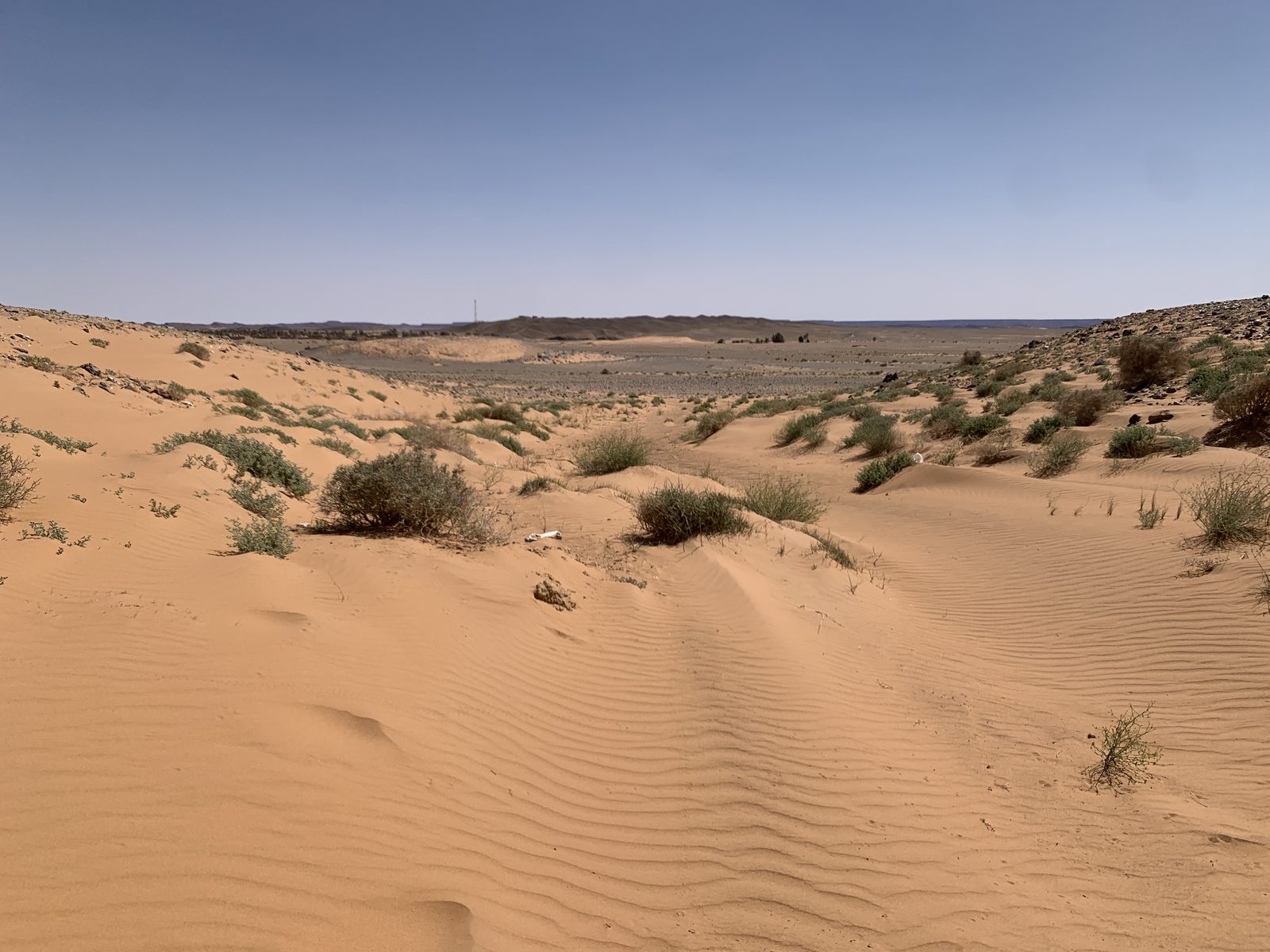Field-research: Moroccan Sahara 19