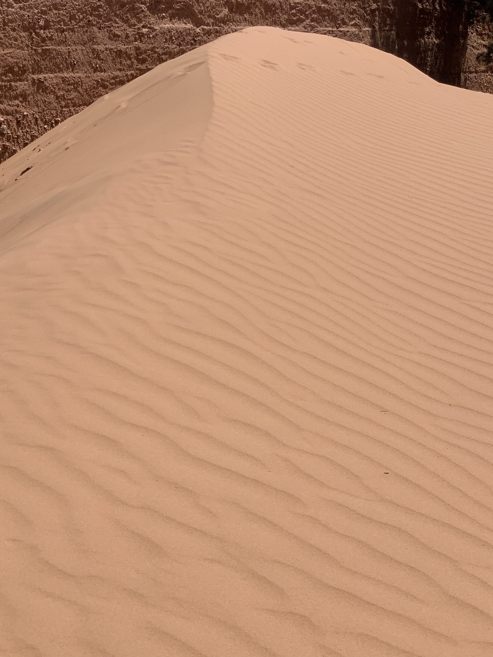 Field-research: Moroccan Sahara 24