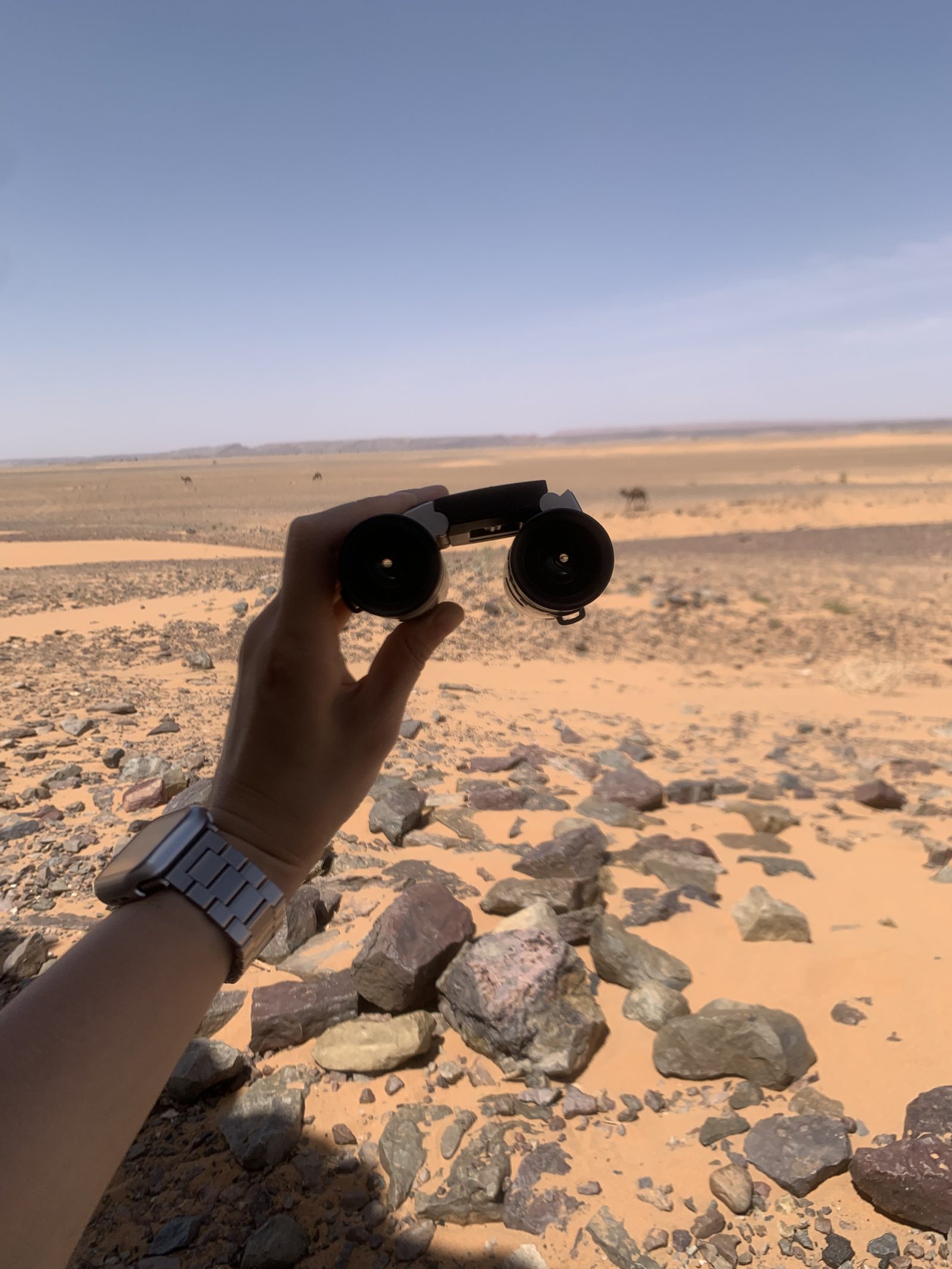 Field-research: Moroccan Sahara 25
