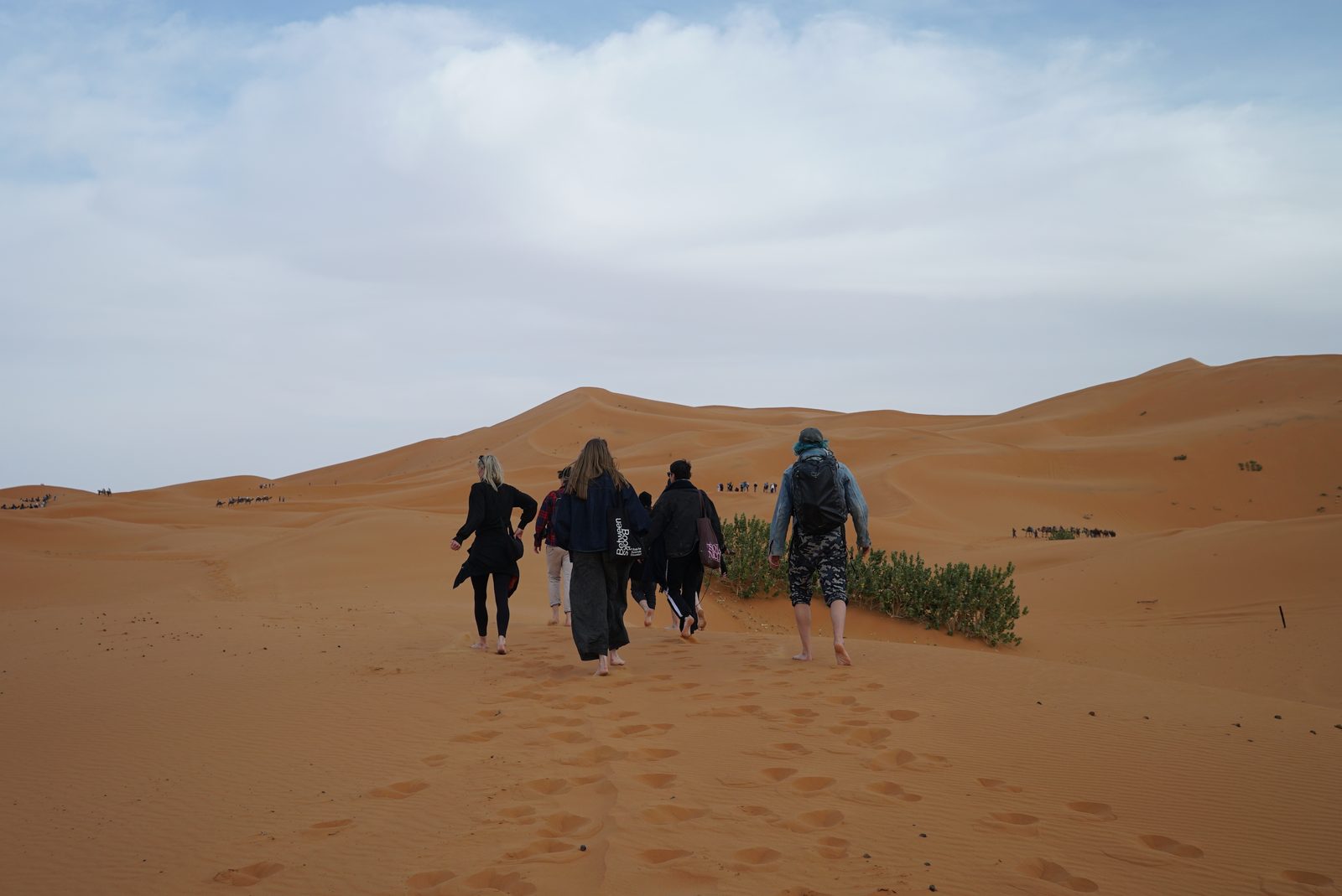 Field-research: Moroccan Sahara 26