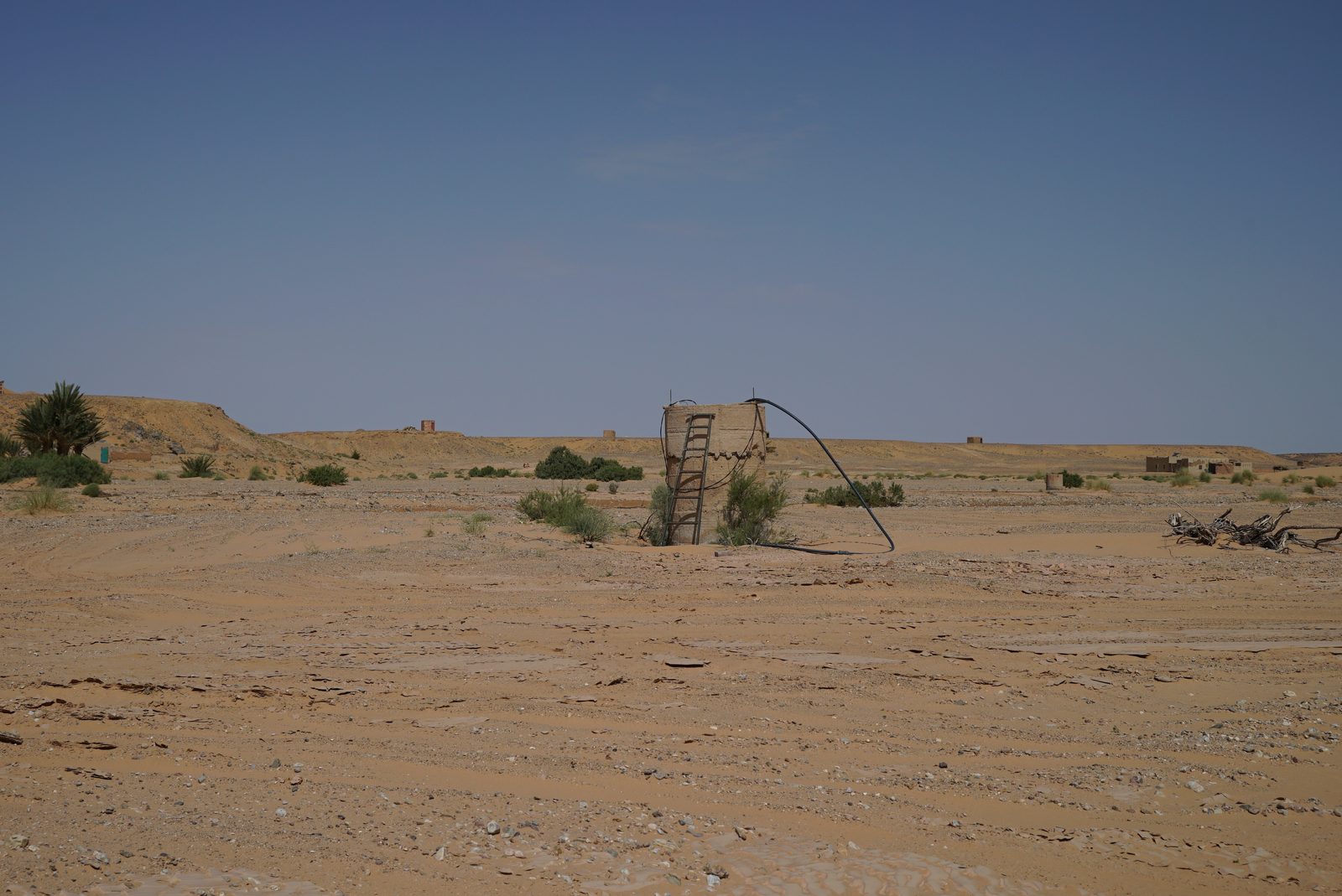 Field-research: Moroccan Sahara 27