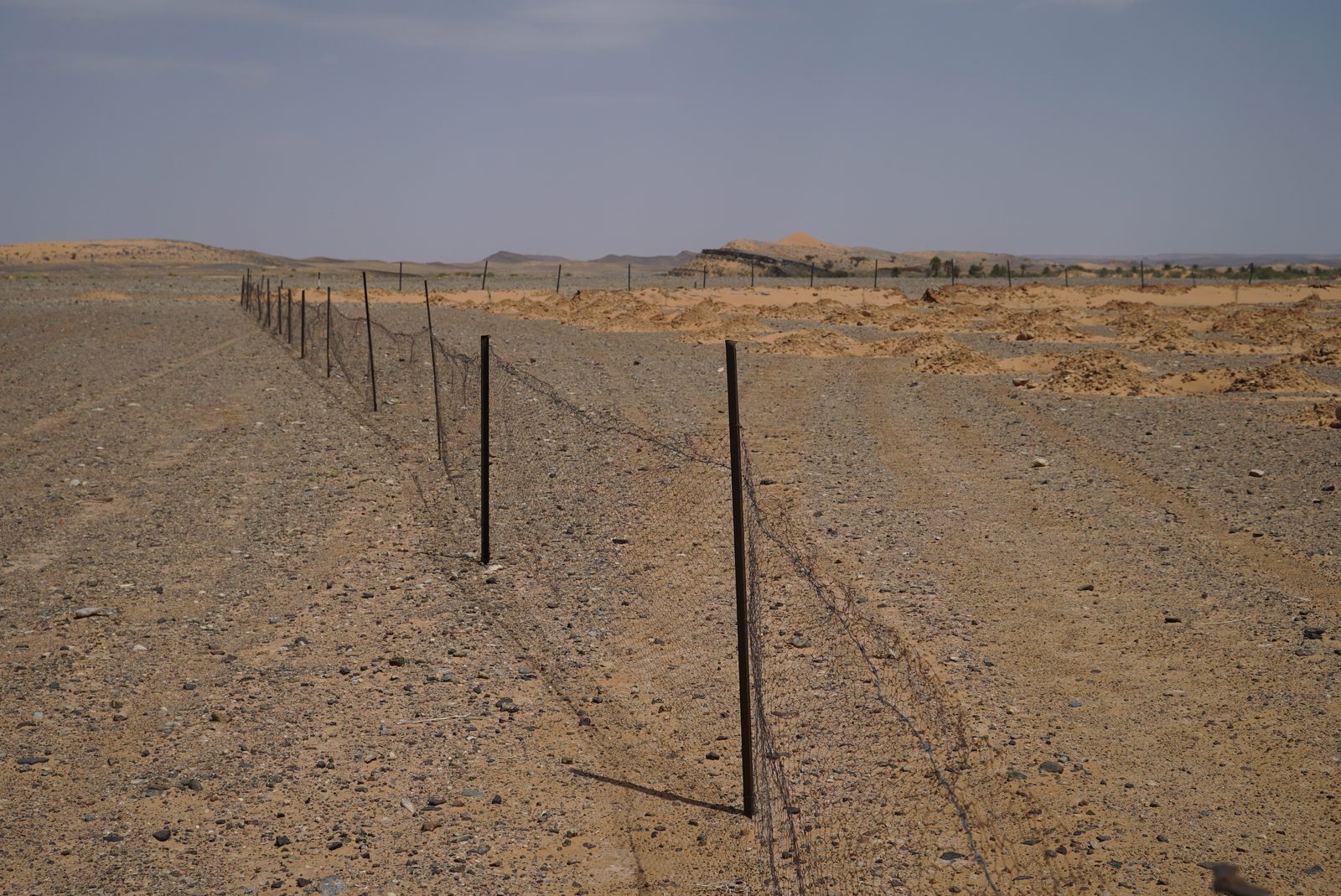 Field-research: Moroccan Sahara 28