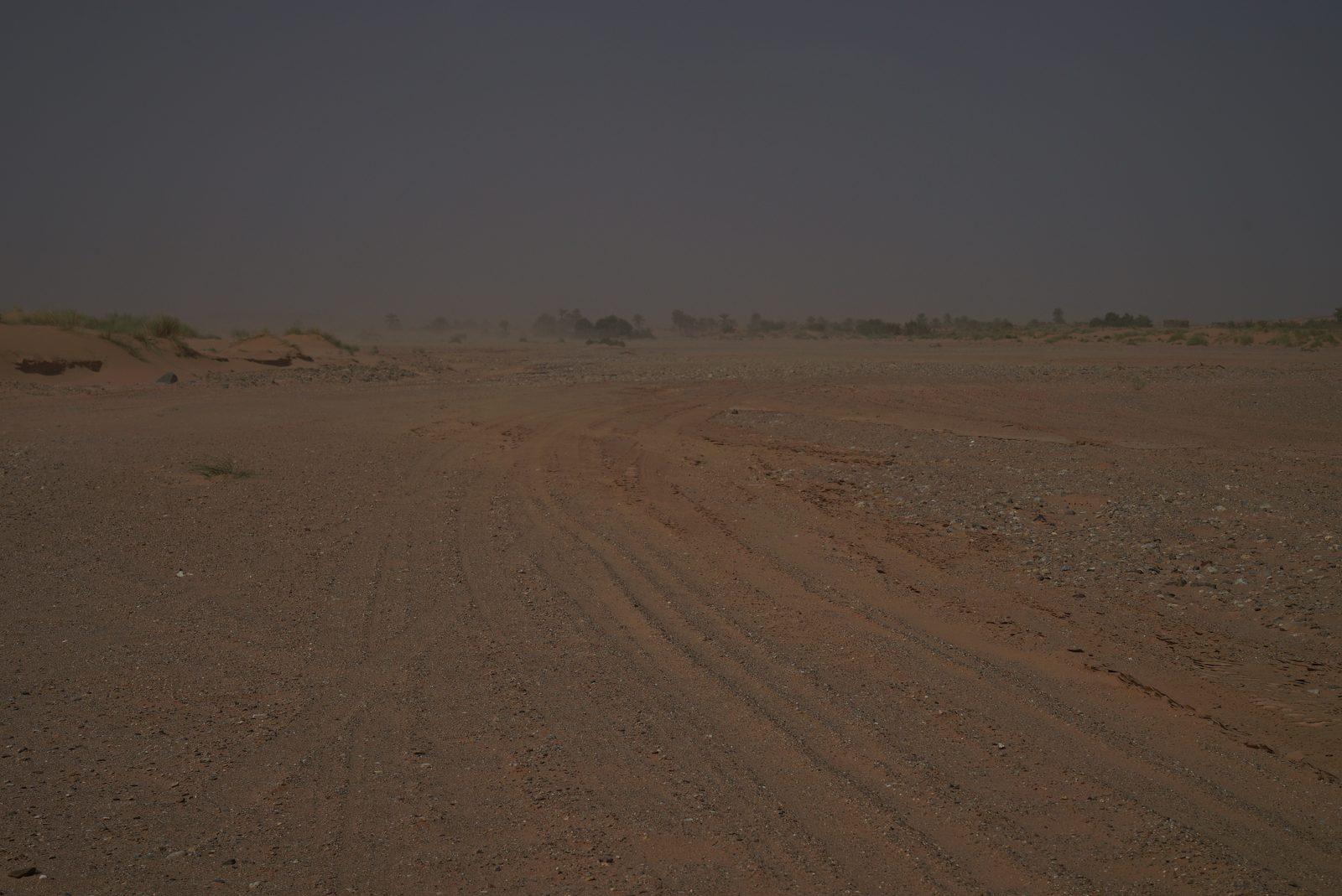Field-research: Moroccan Sahara 30