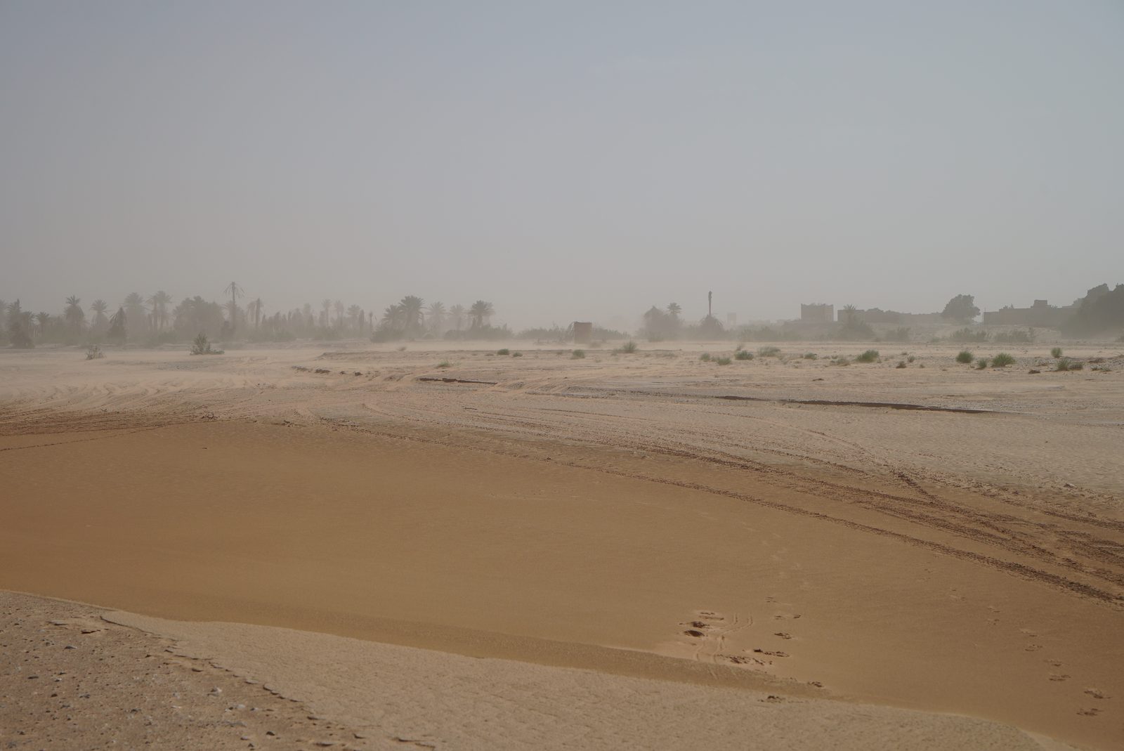 Field-research: Moroccan Sahara 31