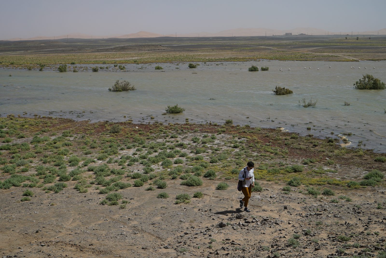 Field-research: Moroccan Sahara 32