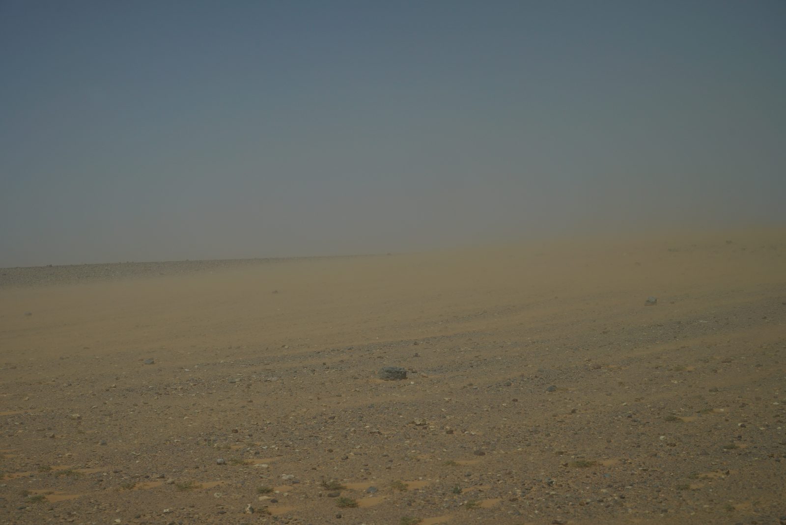 Field-research: Moroccan Sahara 35