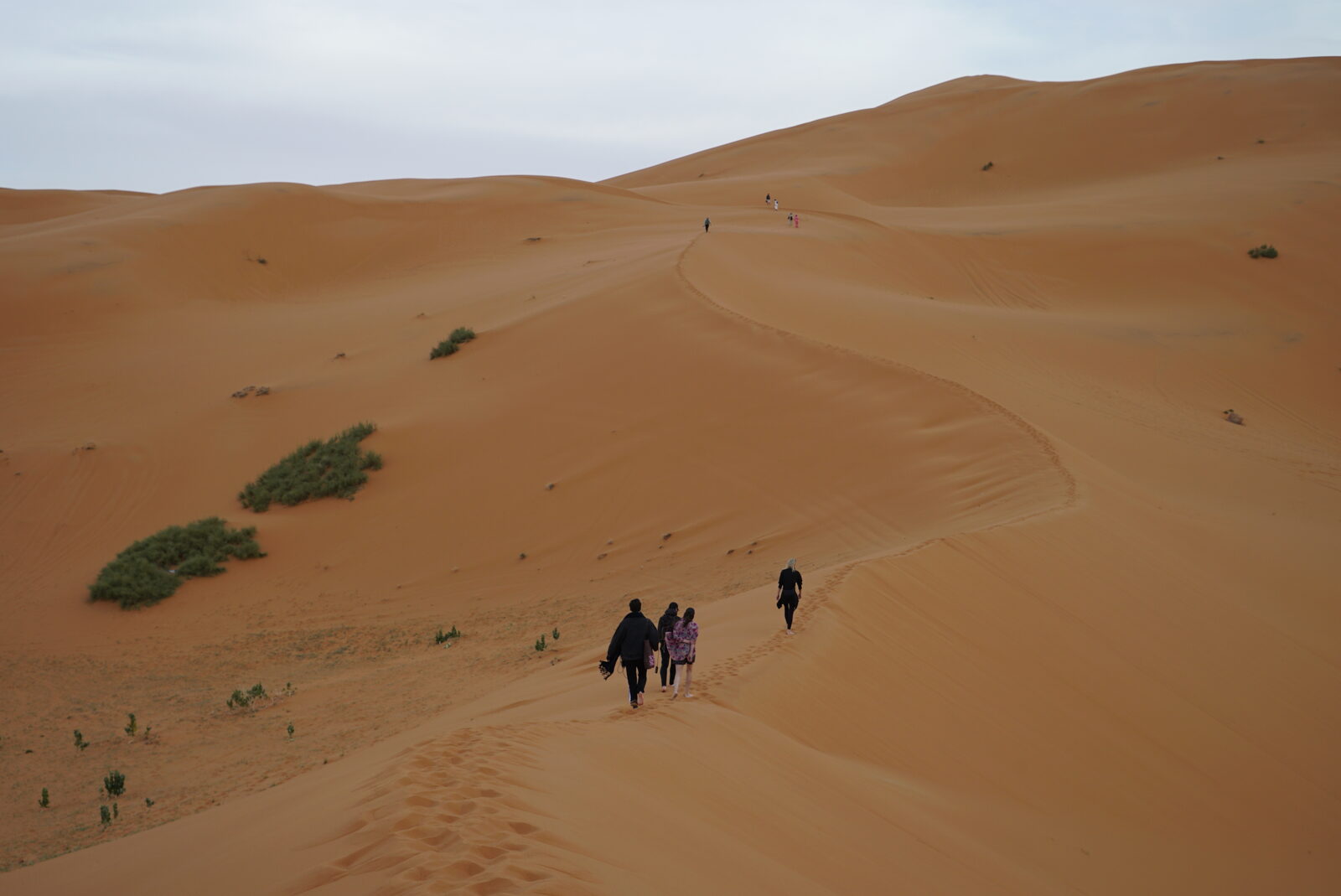 Field-research: Moroccan Sahara 39